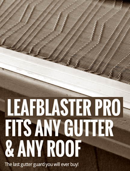 LeafBlaster Pro gutter guards.